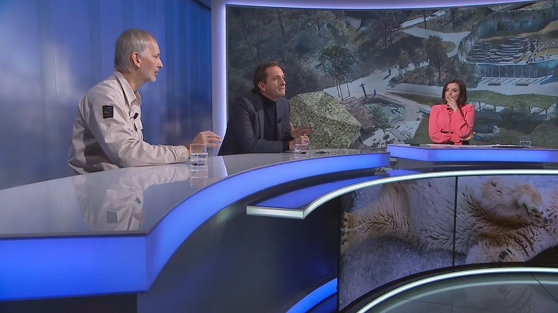 Medvědinec v Zoo Praha za 1,2 miliardy je absurdní, prohlásil Ondráčka. Budou v něm i další zvířata, namítl kurátor